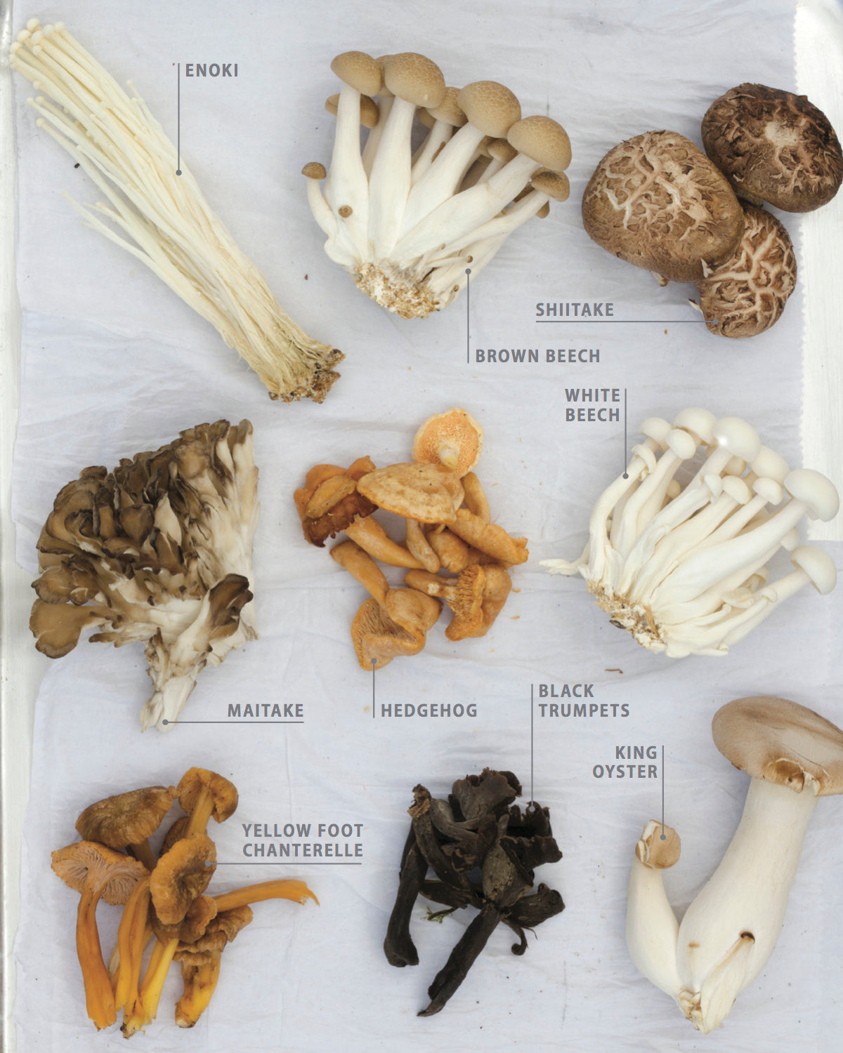 Paleo By Season - Pete's Real Food